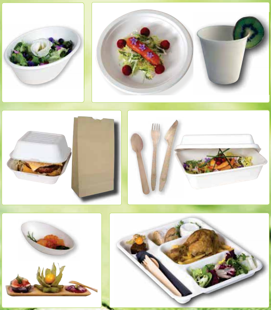 Vision verte - eco-friendly dinnerware and packaging products catalog (2016)